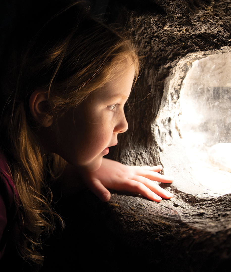 Ontario Science Centre exhibit promotional design