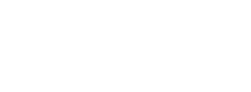 Dynamic Funds logo