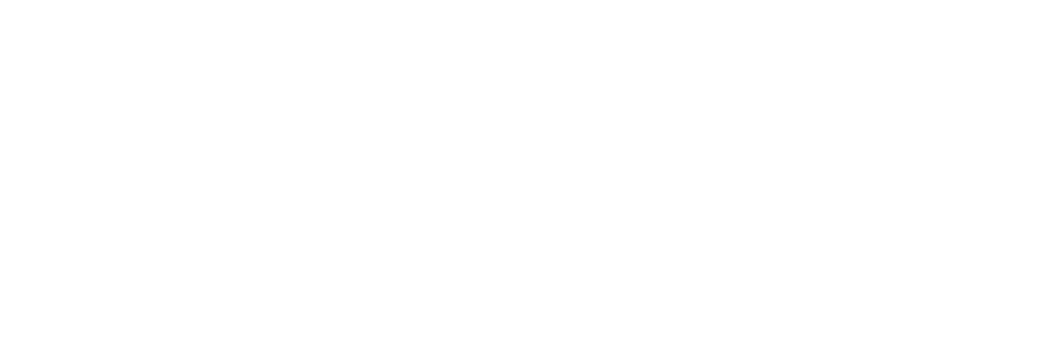 Dynamic Funds logo