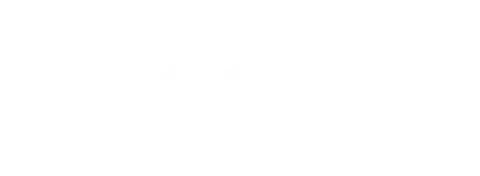 Dynamic Funds logo